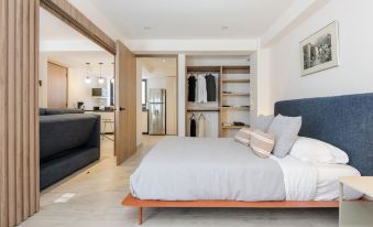 Choapan 28 - Lux Apartments in Condesa