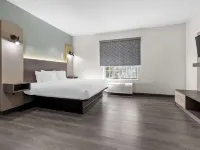 MainStay Suites Columbia Harbison Hotels in Richland County