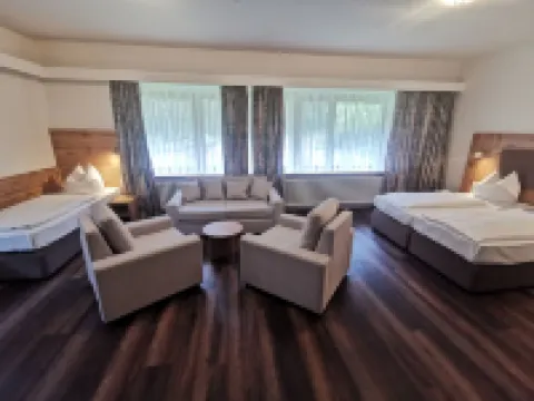 ハイデホテルソルタウアーホフ ゾルタウのホテル