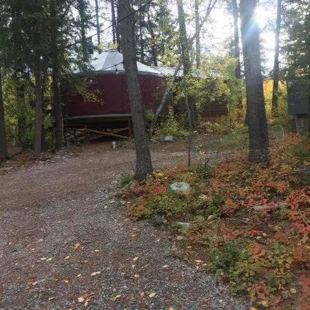 Blue yurt, out in the woods! Unplugged, you are out in nature away from it all.