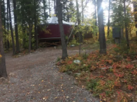 Blue yurt, out in the woods! Unplugged, you are out in nature away from it all.
