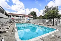 Super 8 by Wyndham Petaluma - Pools