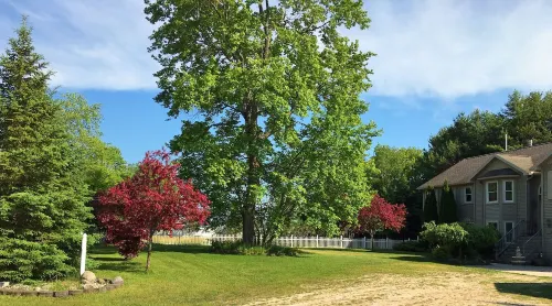 Direct Beachfront and Stunning Lake Views - Spectacular Coastal Haven Hotels in Moran Township