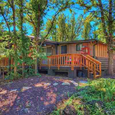 Creekside Retreat - Charming Cabin w/Deck, A/C, Firepit, & Billy Creek View Hotel Exterior