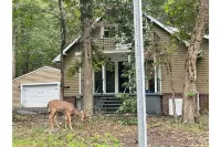 Mountain Cabin in the Woods, Near Wineries & More! Hotels near Food Lion