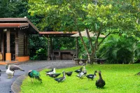 Los Lagos Casas de Campo Hôtels à : 
