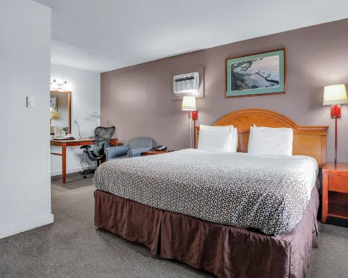Viking Motel โรงแรมใกล้ถนนอัลเบอร์ตา
