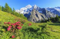 Appartamento 3 Camere Letto Courmayeur - 4 stjerner