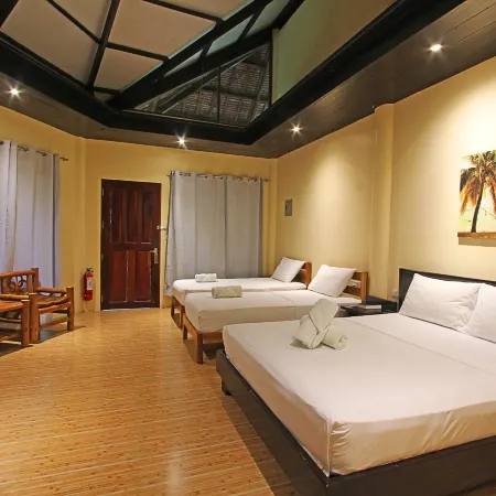 Jonas and Twins Resort