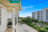 Legacy 502 - Abalone