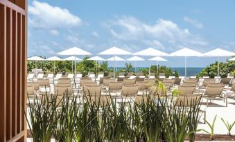 Ava Resort All Oceanfront - All Inclusive