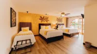 Buena Vista Chic Hotel Hotels in Алахуэла