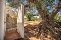 Trulli Cicale e Olive