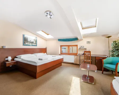 Hotel Palace Hotels in Plzen