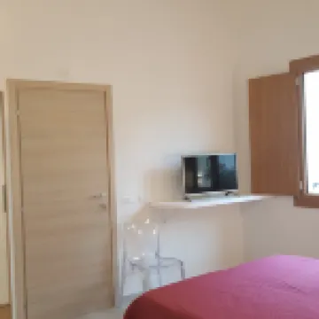 B シニス