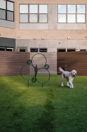 Luxury Apartments by Hyatus at Pierpont Отели рядом с достопримечательностью «Арт-галерея Йельского университета»