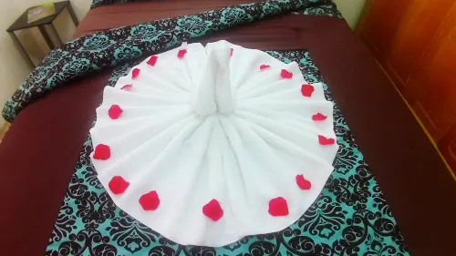 Caribbean Dream Vacation Property CD1 Hotels in La Feuillet