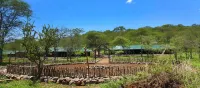 Wellworth Ole Serai Luxury Camp - Moru Kopjes - bar