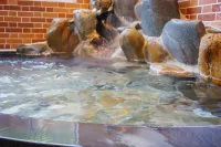 Onsen Guest House Aobato no Su - Thermen