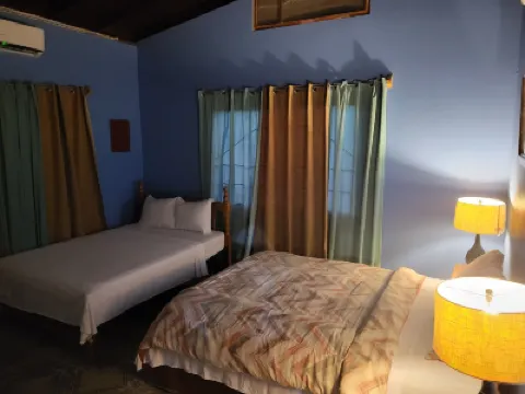 Birdie's Nest โรงแรมใน