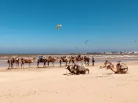 里亞德拉波特魯日旅館 由拉西雷德拉赫管理 - 浪漫/情侶