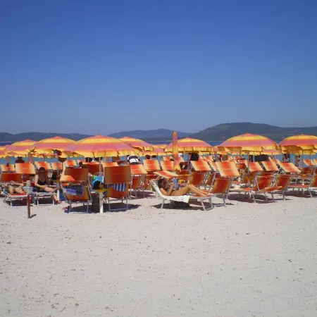 Actinia Accommodation