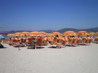 Actinia Accommodation