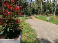 Ama Villa Homestay