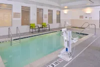 SpringHill Suites Detroit Metro Airport Romulus - Family