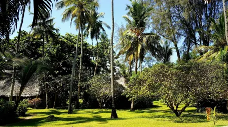 Blue Bay Village Отели рядом с достопримечательностью «Watamu Beach»