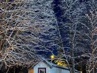 Cozy Seward Cottage: Amazing Location in the middle of town. Pet-Friendly! Hotel di Seward