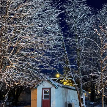 Cozy Seward Cottage: Amazing Location in the middle of town. Pet-Friendly! Отели в г. Сьюард