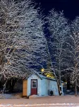 Cozy Seward Cottage: Amazing Location in the middle of town. Pet-Friendly!