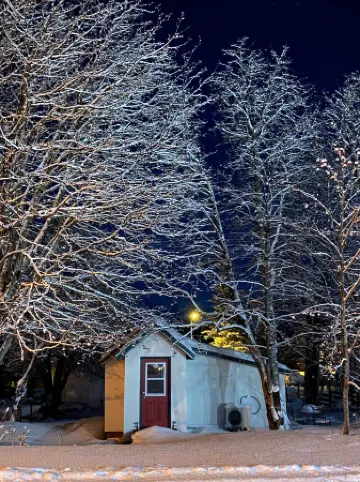 Cozy Seward Cottage: Amazing Location in the middle of town. Pet-Friendly!