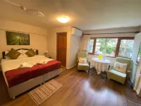 Butik Hotel Maşukiye Hotels in Kartepe