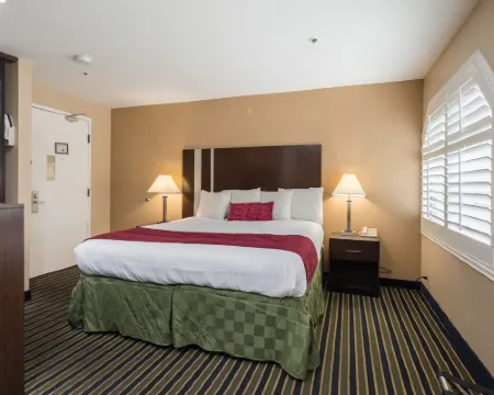 แทรเวิล อินน์ โรงแรมในซันนีเวล