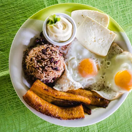 Hotel Tortuguero Beachfront