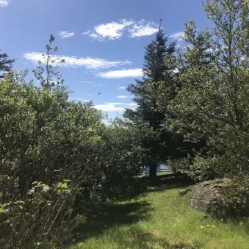 The Apartment - Öbbuhús