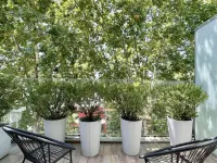 Ilum Experience Home Hotels near Colegiales