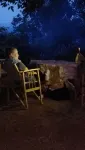 Go Camping