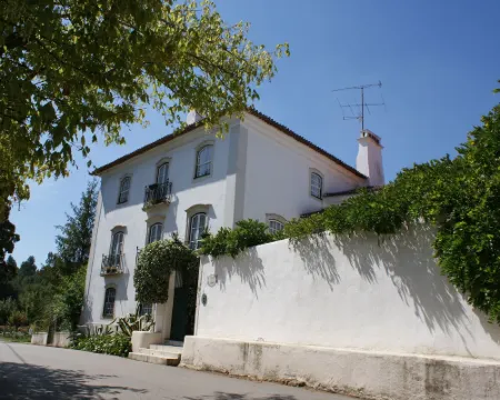 Quinta de São Lourenço Anadia otelleri