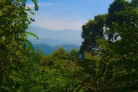 Sommersheild Cottage Hotels in Thotagamuwa