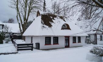 Holiday Homes Buchholz