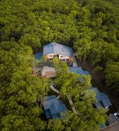 Utopia Forest