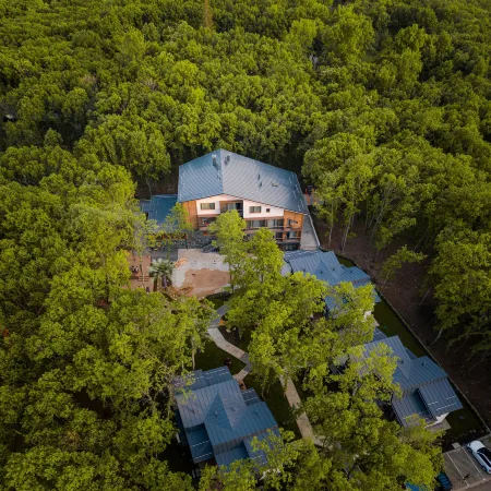 Utopia Forest