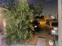 Miami Vibes "Hostel-Like" Shared Room