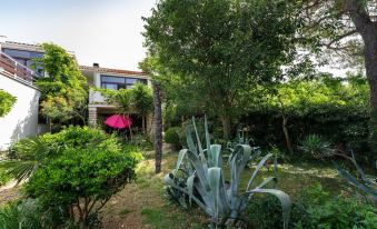 Fantastic Garden Zoey 6