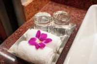 Regenta Resort & Spa By Riverside, Chitwan - Kylpylä