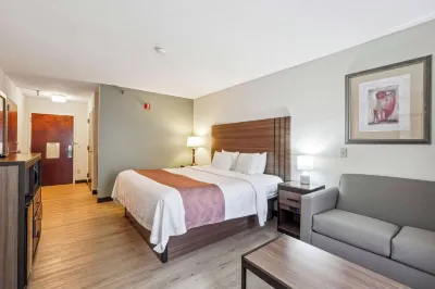 Quality Inn & Suites