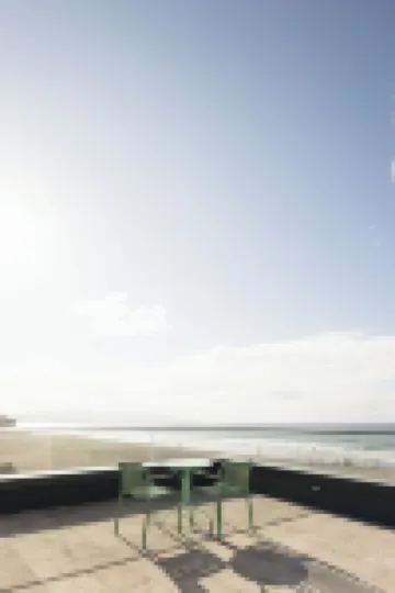 莫因霍達阿雷亞